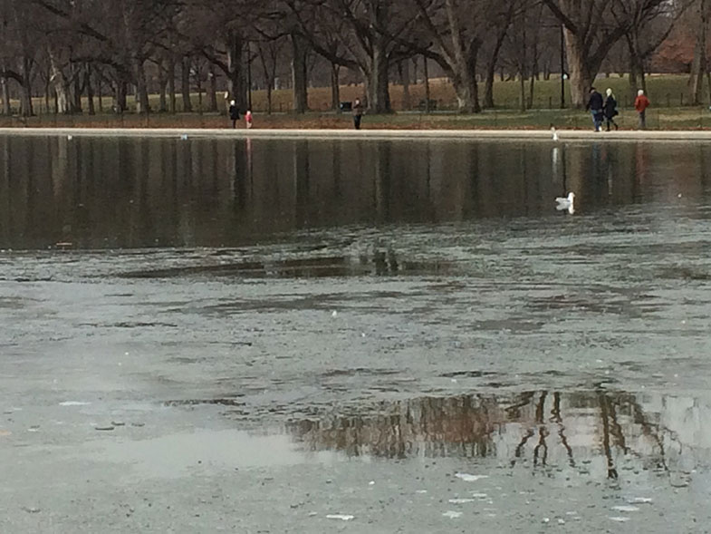 Inverno e verão nos Estados Unidos o que esperar Cantinho de Ná (2022)